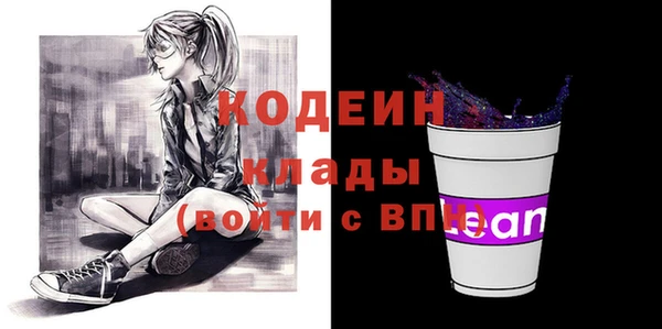 молекула духа Пересвет