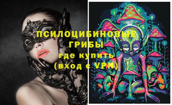 молекула духа Пересвет