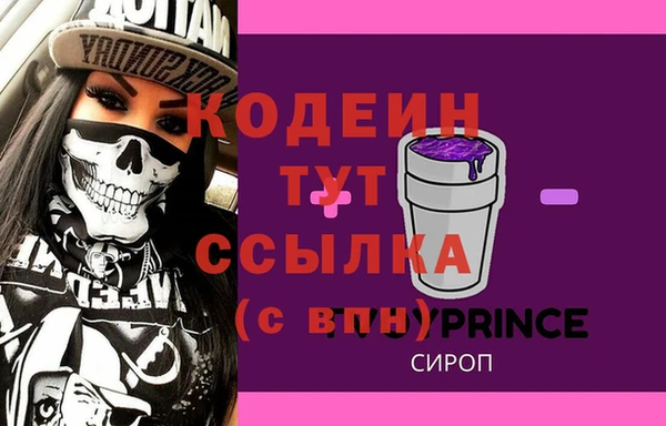 молекула духа Пересвет